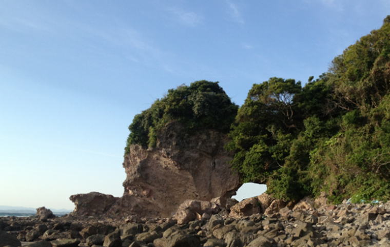 ���c������