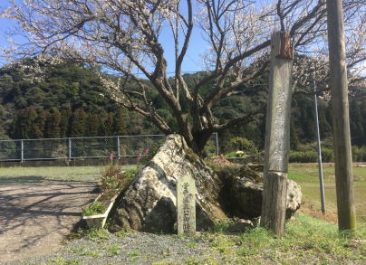 �j�ՁF�������|��