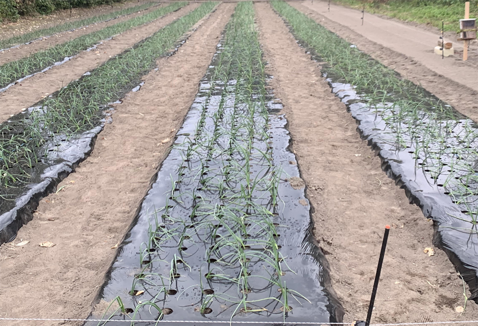 ���ʂ˂���