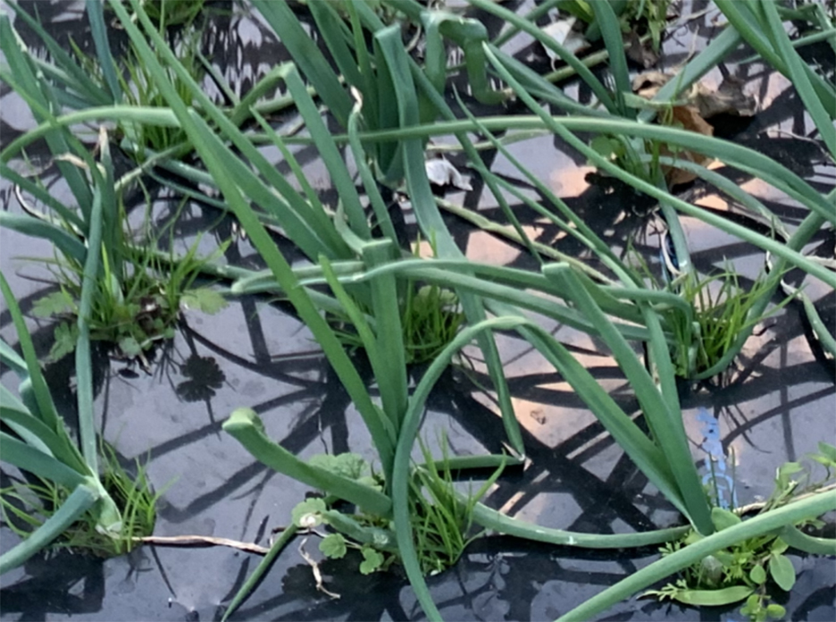 ���ʂ˂���