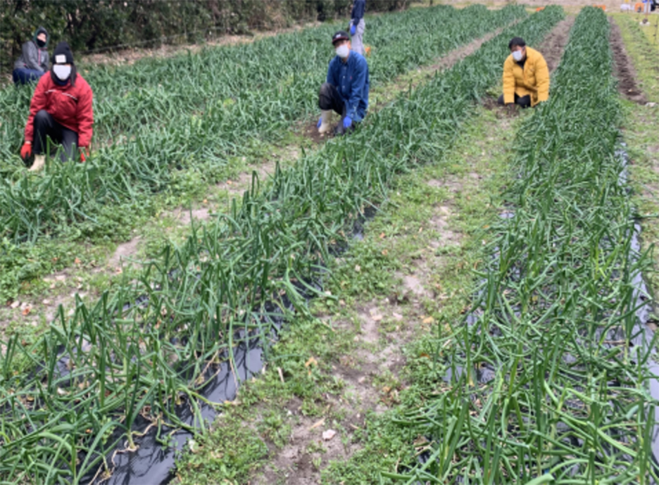 ���ʂ˂���