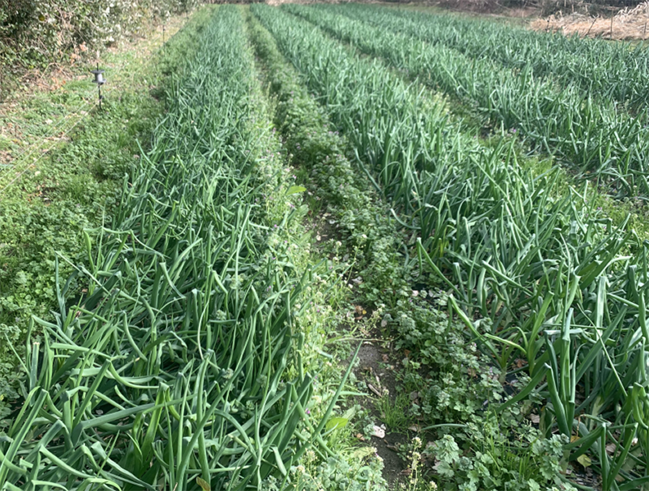 ���ʂ˂���