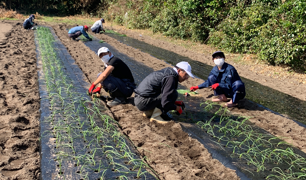 ���ʂ˂���