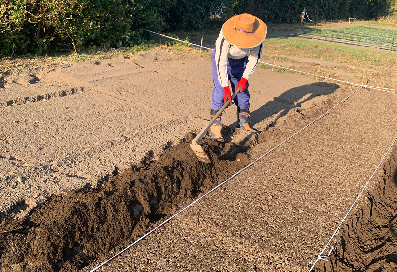 ���ʂ˂���