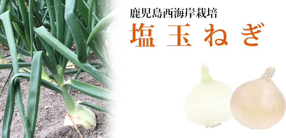 ���������C�ݍ͔|�@�ɑ������ʂ˂�