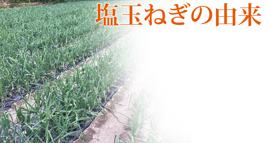 ���ʂ˂��̗R��