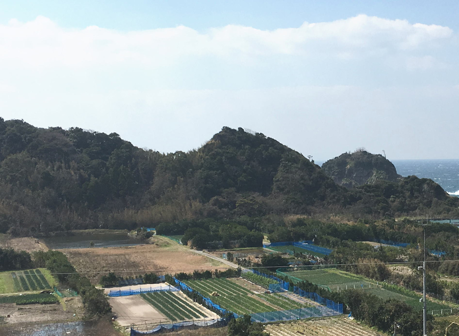 ���ʂ˂���